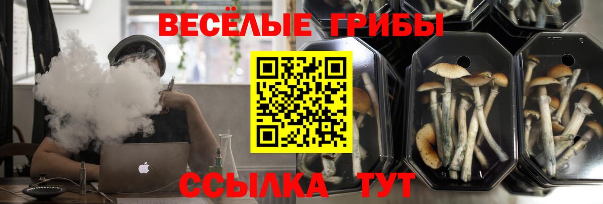 Галлюциногенные грибы MAGIC MUSHROOMS Буйнакск